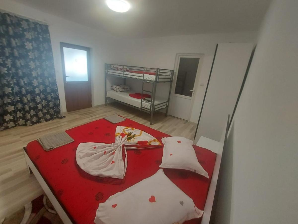 Casa De Vacanta Maga ドゥボバ エクステリア 写真
